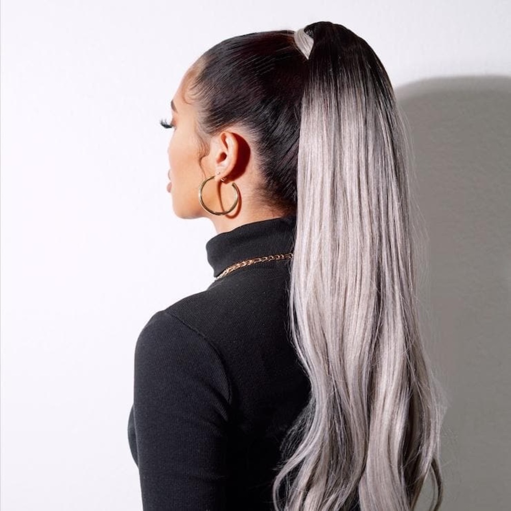 INSERT NAME HERE | Brit Ponytail Dark Brown Roots Silver Ends